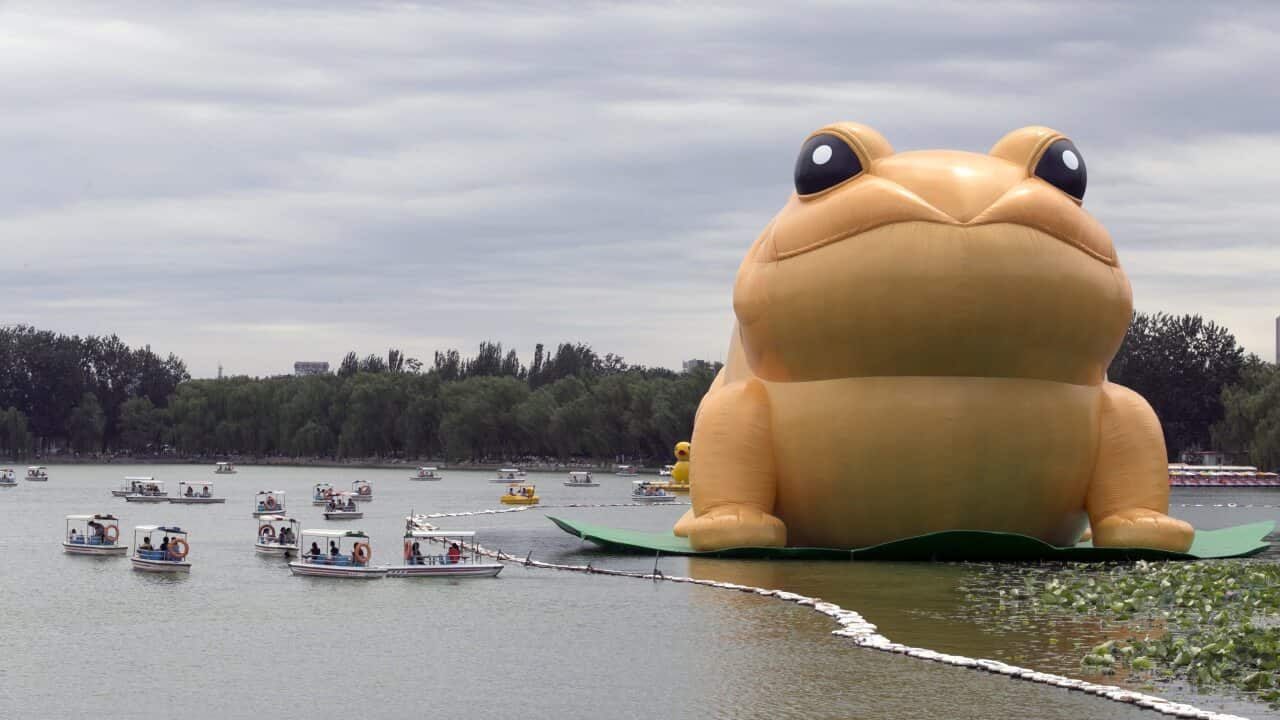 20140721000999269998-original.jpg