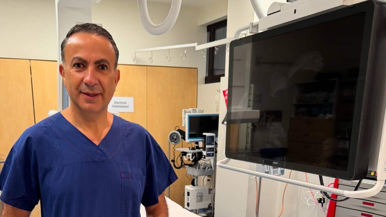 Dr Walid  1.jpg
