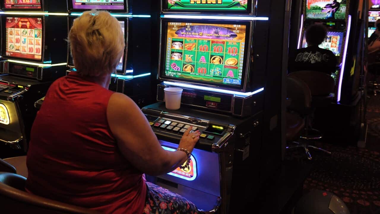 SBS News investigates who the real winners and losers are in the pokies gamble.