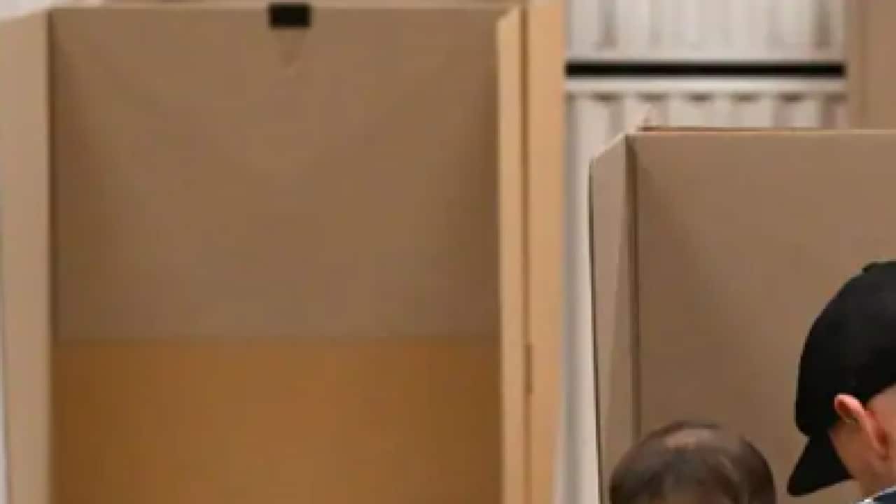 超60万张选票未计入澳洲大选最终结果为何这些议席逾一成选票无效？ | SBS Chinese