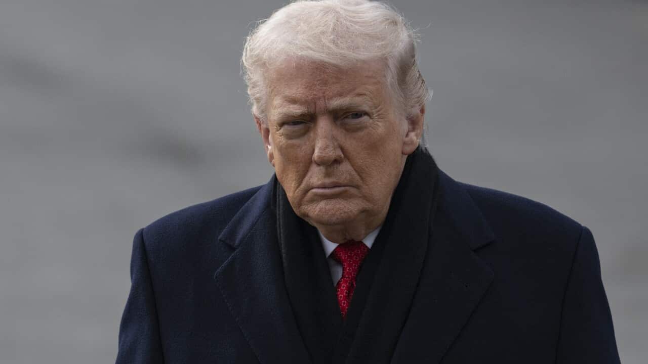 'We're talking to NATO' on Greenland: Trump