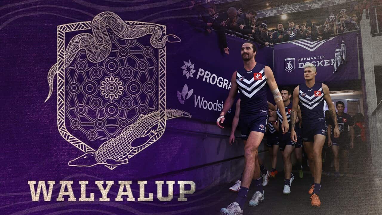 walyalup football club fremantle dockers web header.jpg