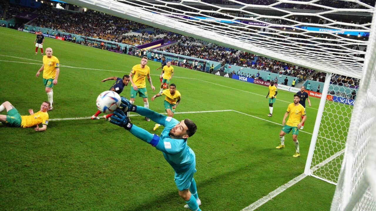 Mathew Ryan of Australia makes a save during the match between the Socceroos and France