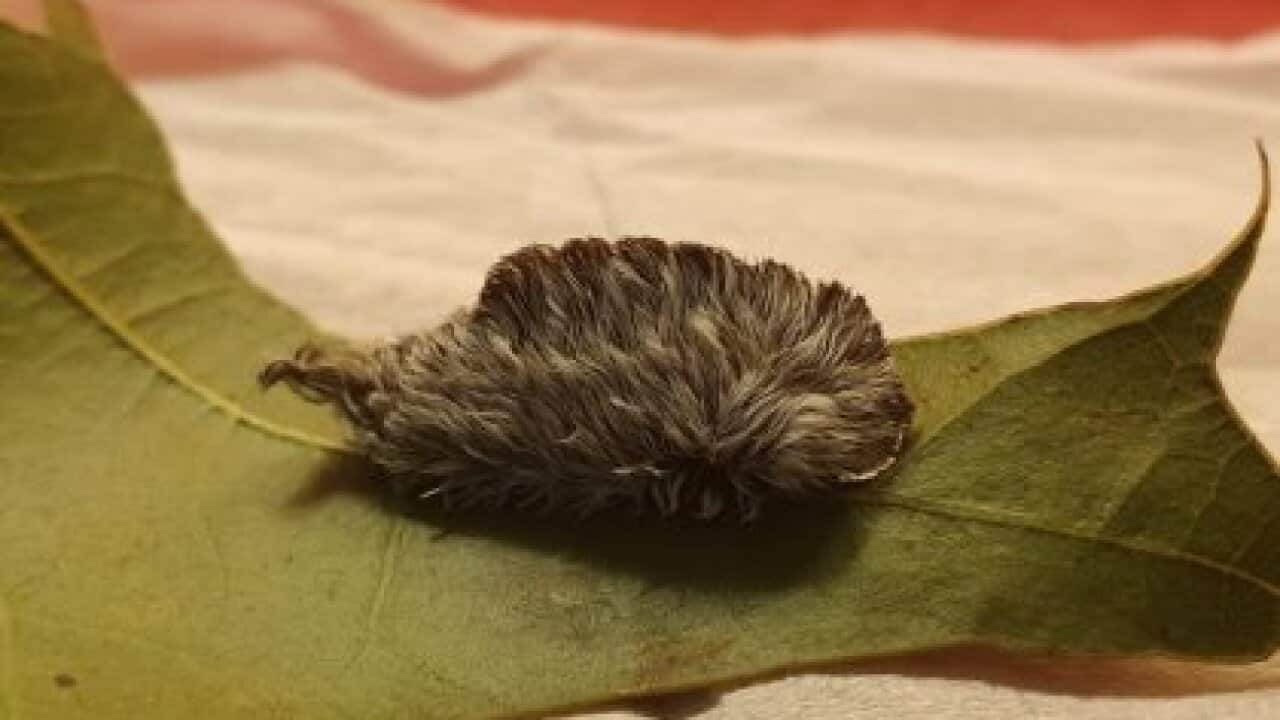 Image for read more article 'READ MORE'