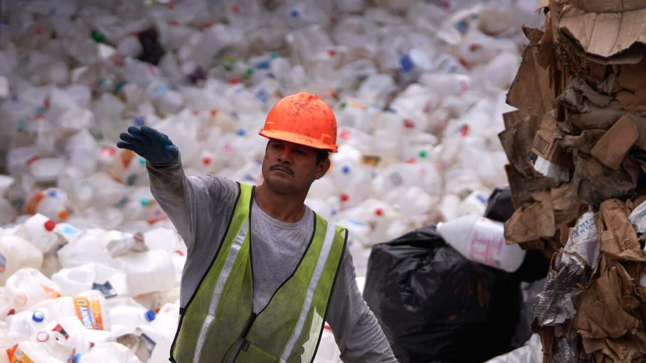 A worker sorts thousands of plastic containers for recycling at a recycling facility in Los Angeles, California (AAP)