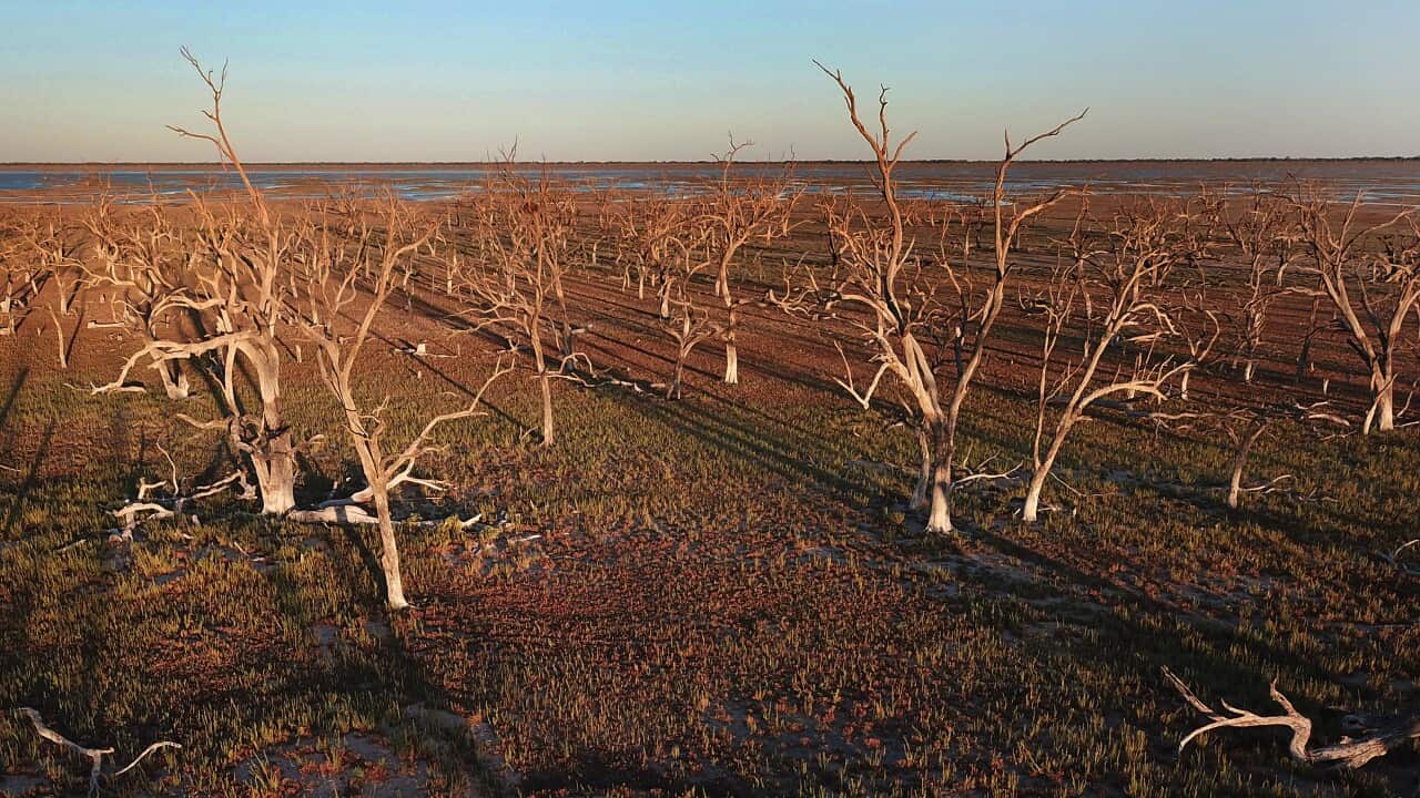 Receding waters of Lake Pamamaroo which makes up part of the Menindee Lakes system near the township of Menindee