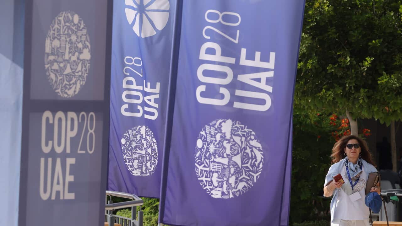 Five things to watch for at COP28 climate talks in Dubai Five things to watch for at COP28 climate talks in Dubai
