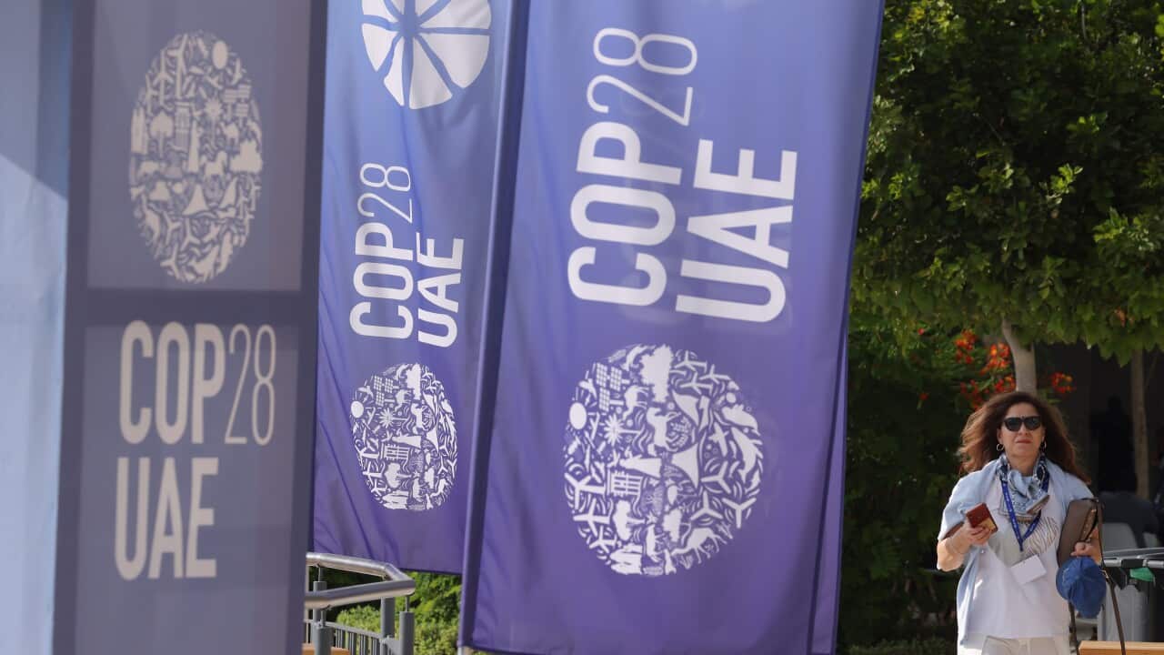 A woman walking past banners that read: "COP28 UAE"