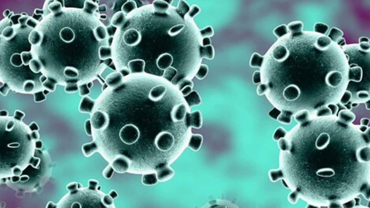 corona-virus