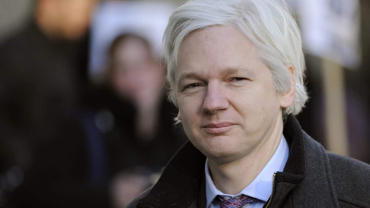 Assange
