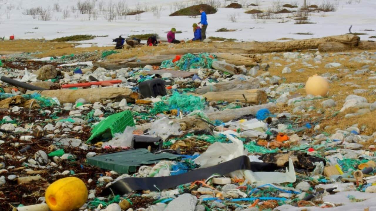 War on plastic Germans in Australia plastikmüllberg