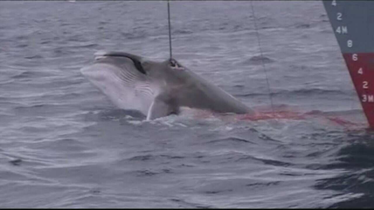 Image for read more article ''