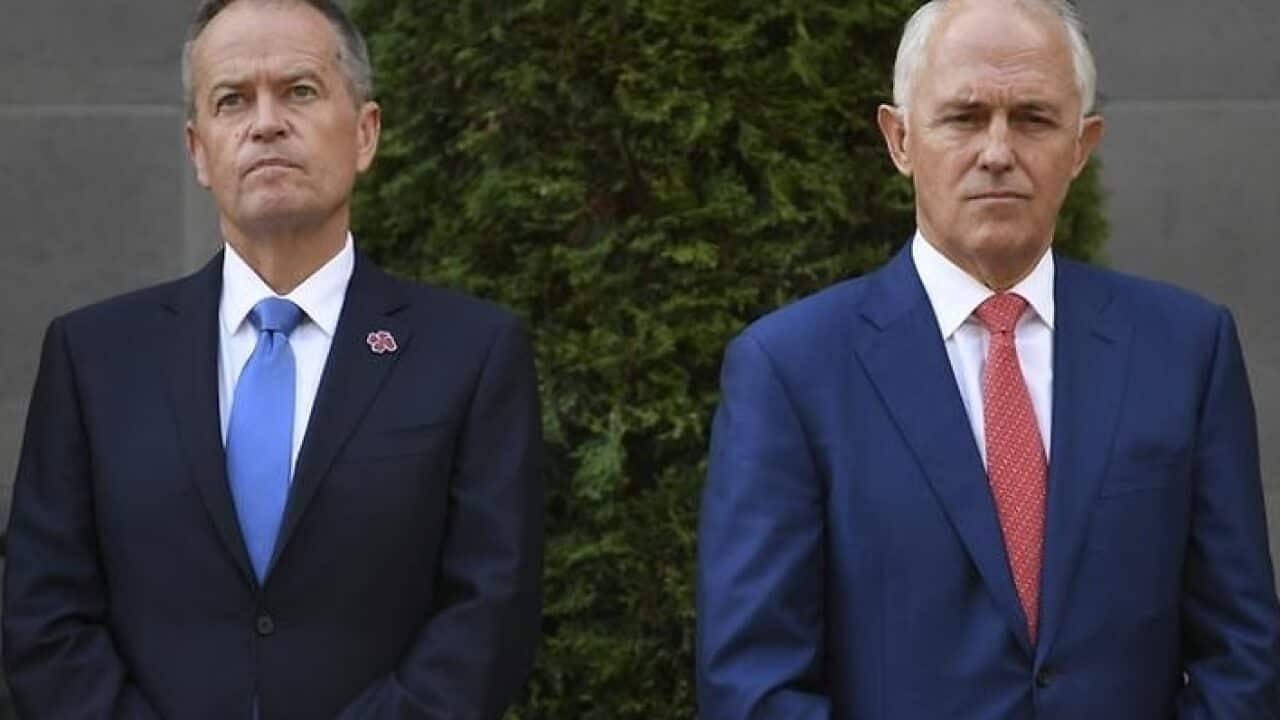Bill Shorten and Malcolm Turnbull.
