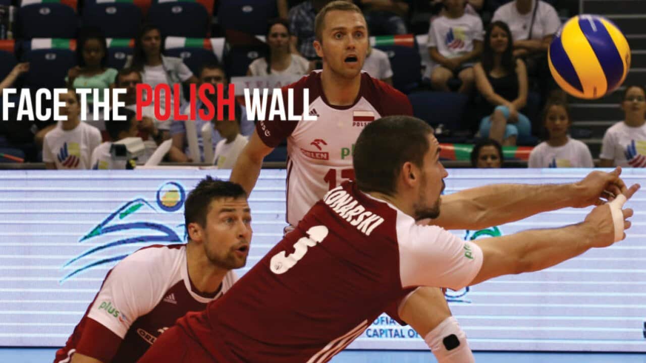 Polish volleyball players