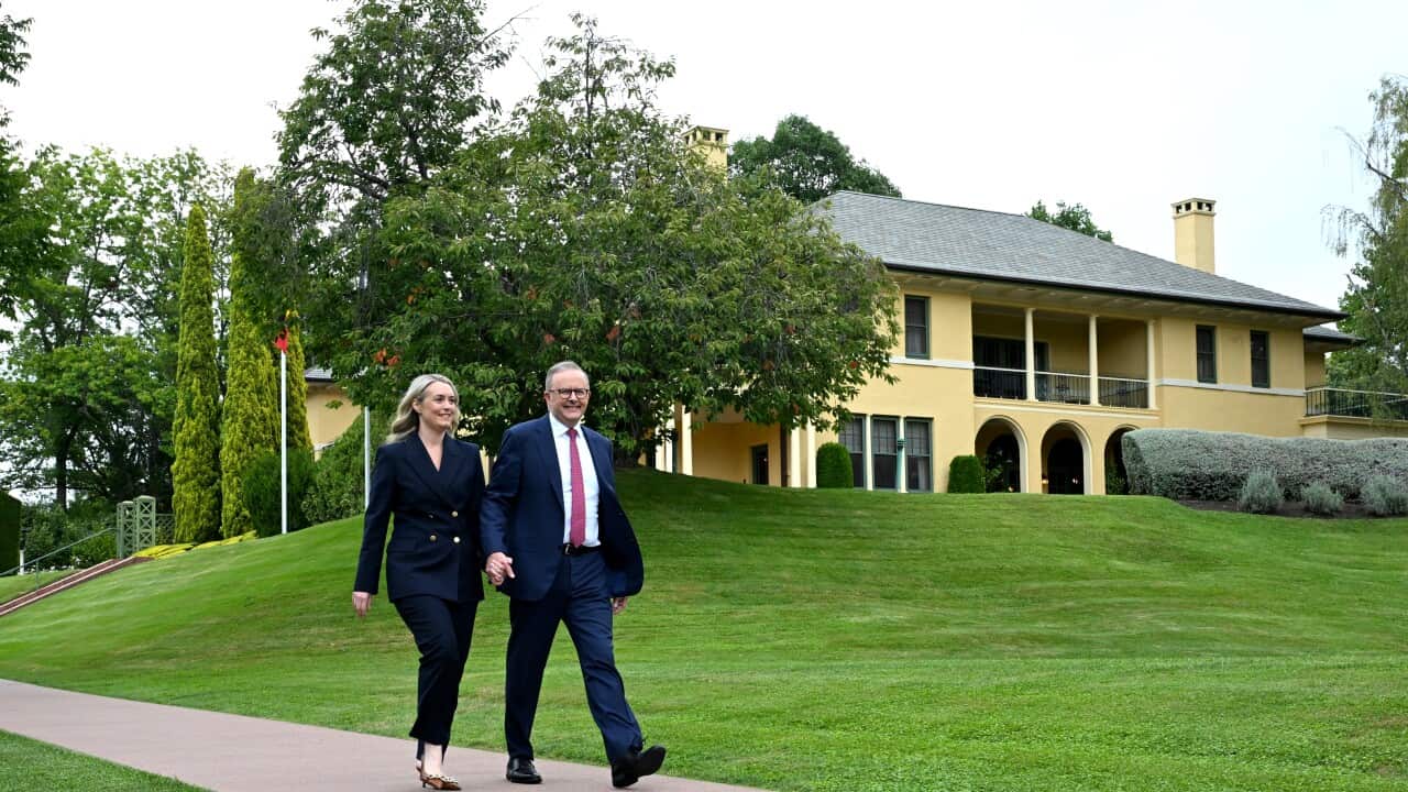 ANTHONY ALBANESE JODIE HAYDON ENGAGEMENT