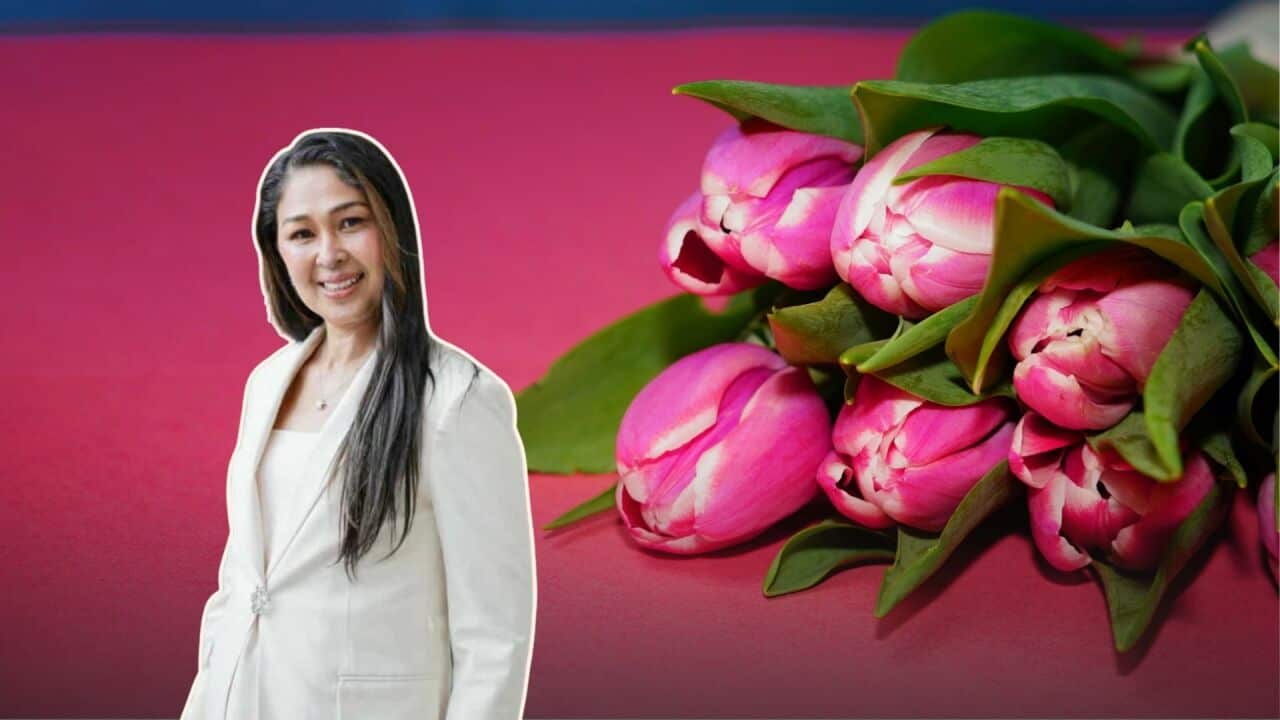 Maya header   of ALC Header Cutout.jpg