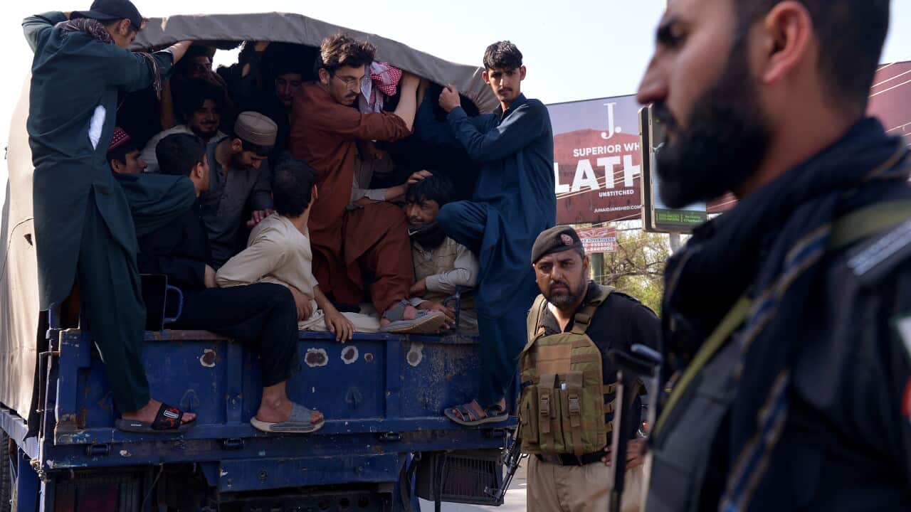Alleged undocumented migrants and Afghan refugees arrested in operation in Peshawar