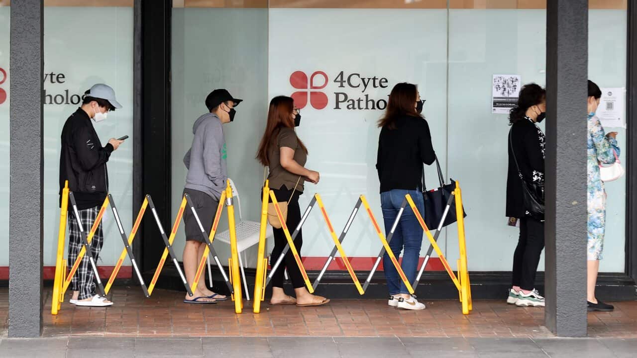 Members of the public queue to take Covid-19 PCR tests in Sydney's CBD