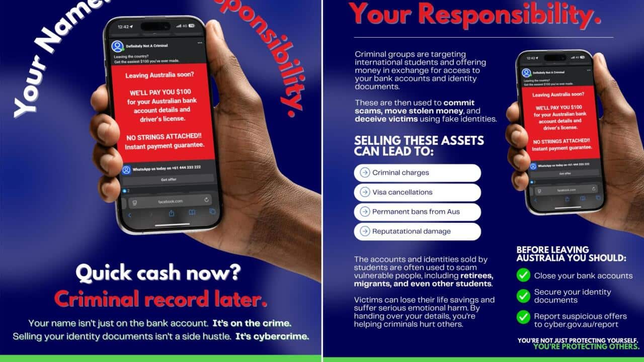 pic signal-2025-11-19-112212.jpeg