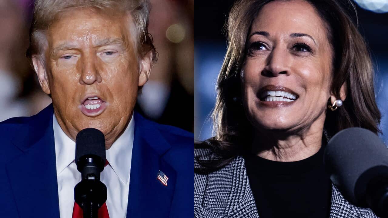 分析】美国总统大选市场“赌盘”比股市能更精准反应选民意向| SBS Chinese