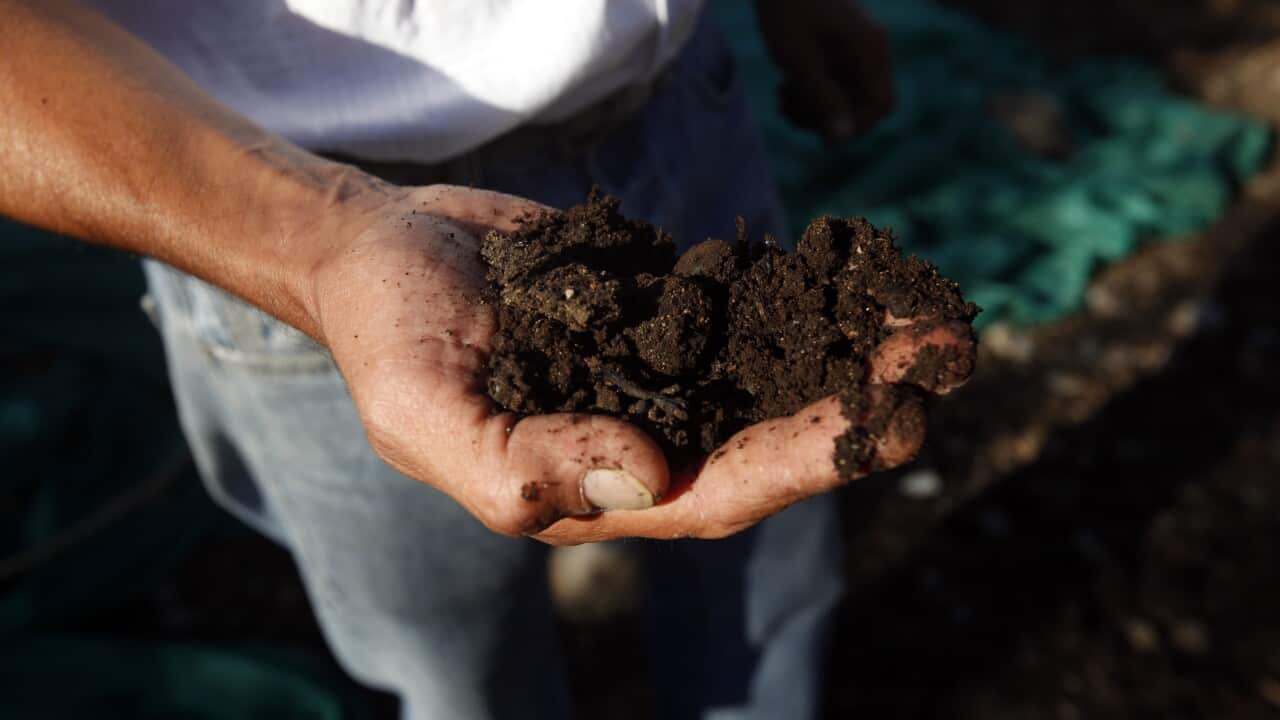 Image for read more article '更多內容'