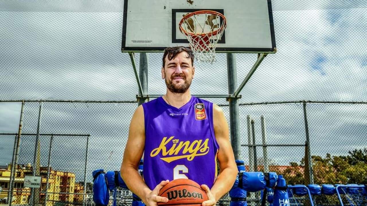 Andrew Bogut