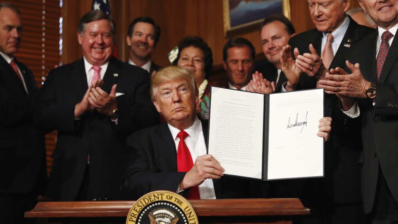 President Donald Trump