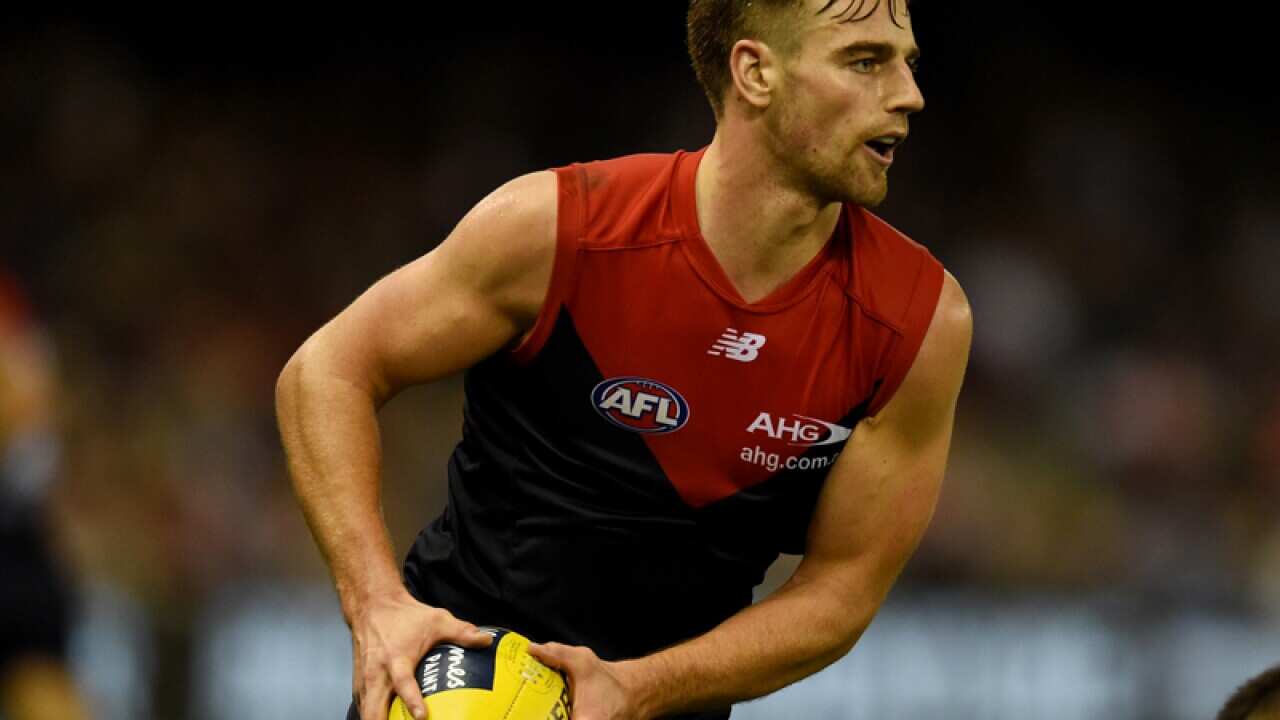 Melbourne Demons player Paul Roos