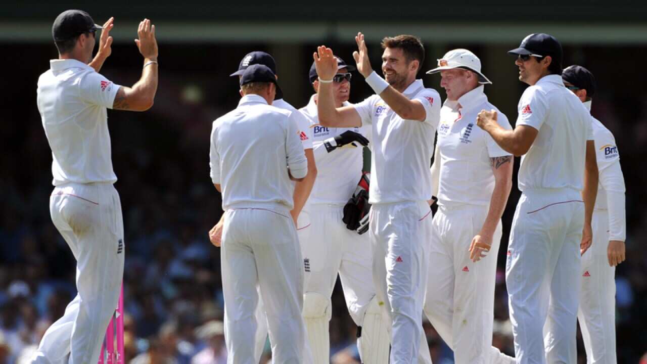 England cricketers celebrate taking a wicket