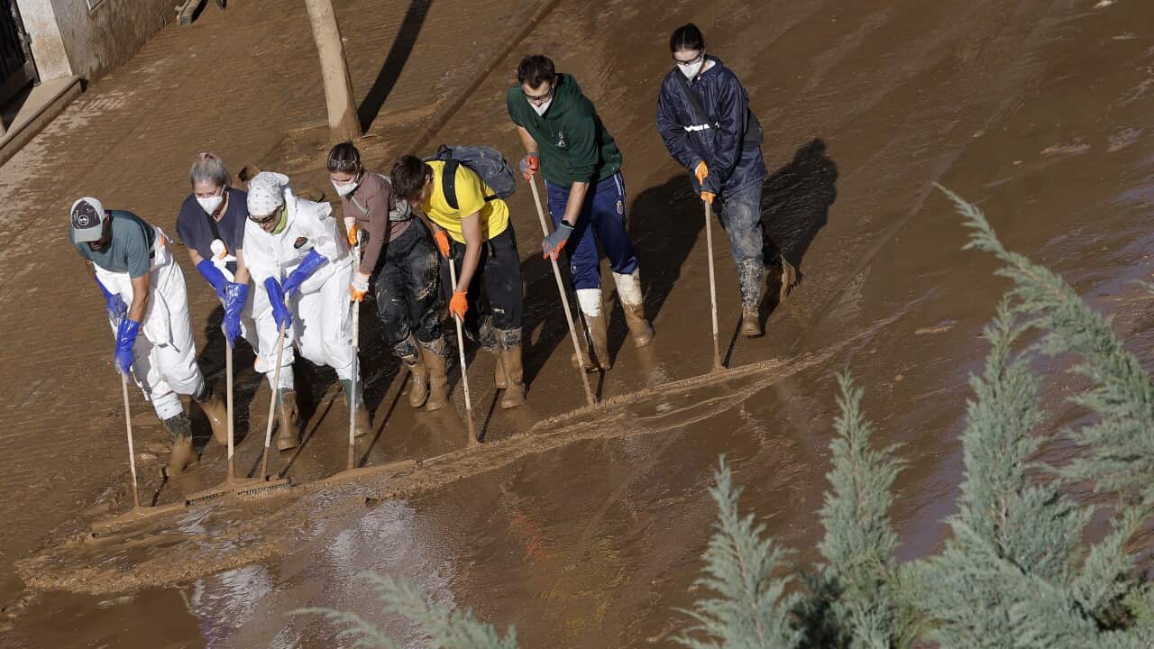 Image for read more article 'Contenido relacionado:'