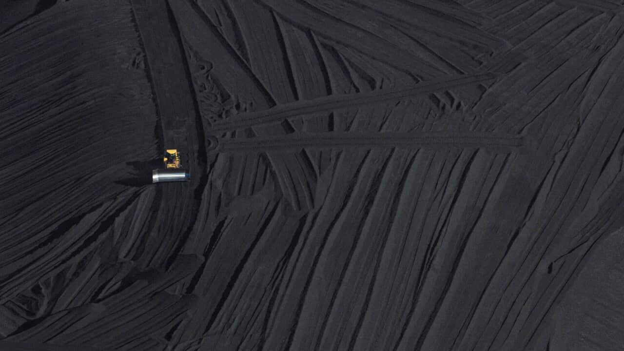 Coal operations at Port Waratah, Newcastle