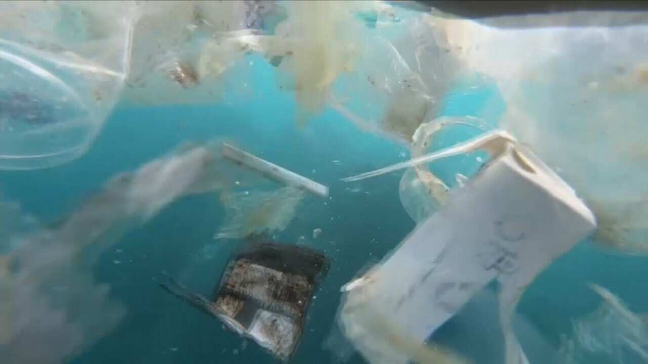 Marine pollution at Christmas Island (SBS)