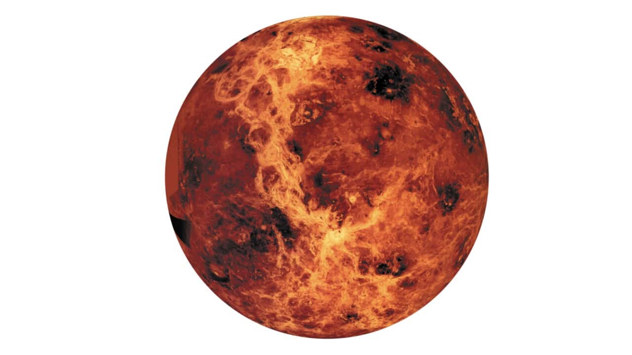 Venus