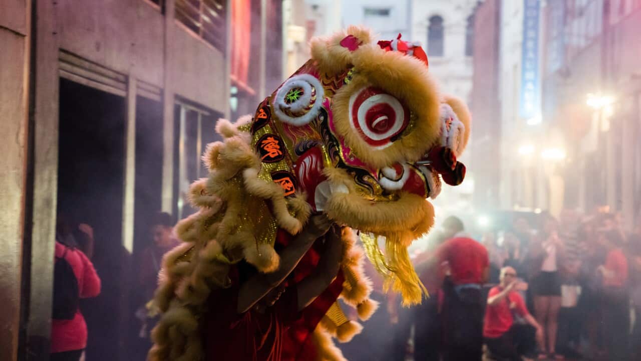 Image for read more article 'READ MORE'