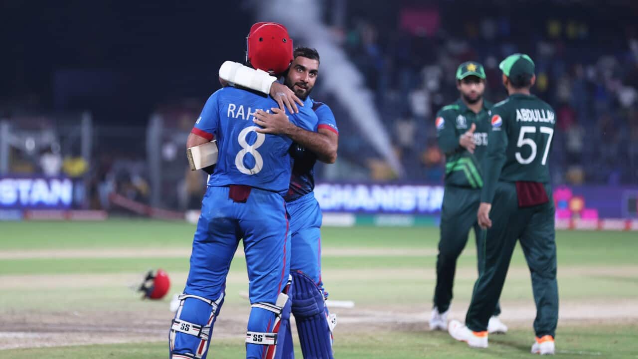 Pakistan v Afghanistan - ICC Men's Cricket World Cup India 2023