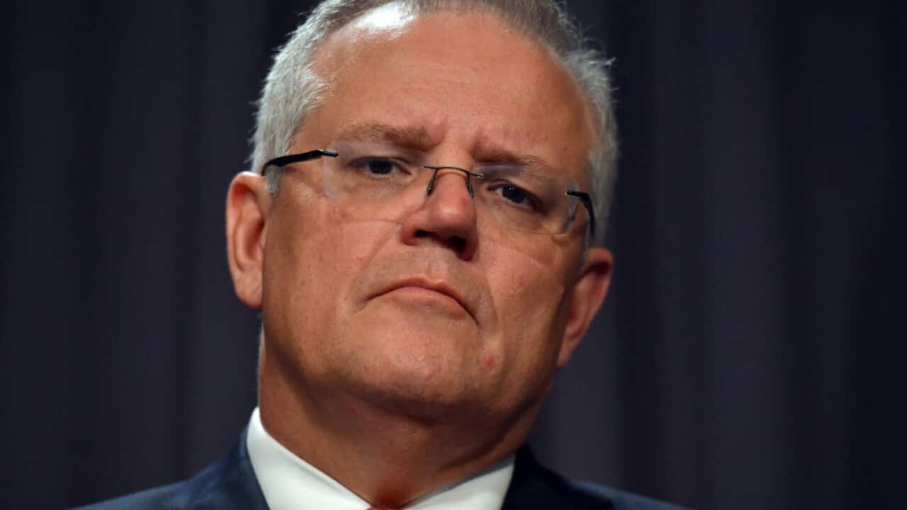 scott morrison