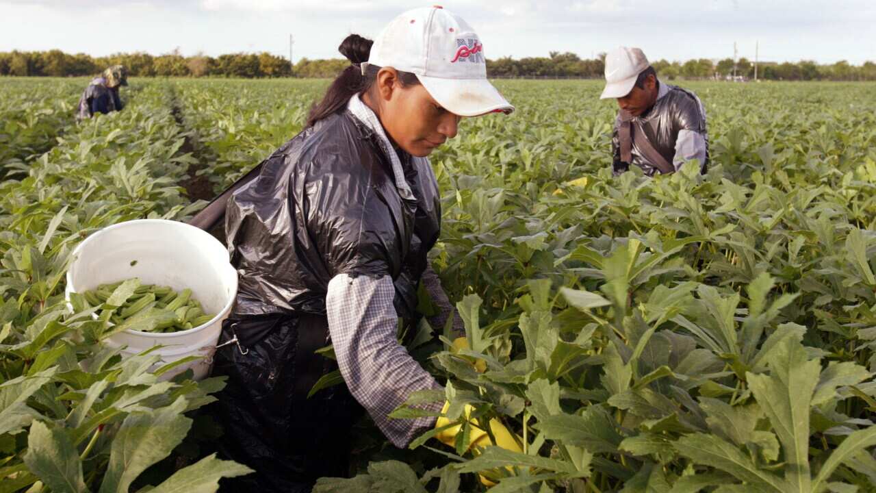 Migrant workers face poor conditions and underpayment on Australian ...