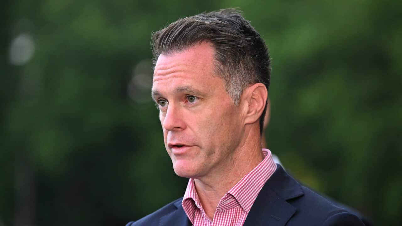 Image for read more article 'READ MORE'