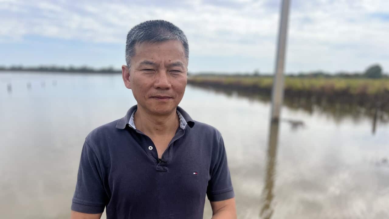 Winemaker Lin Meiqing has lost one million dollars' worth of grapes to flooding (SBS-Sandra Fulloon).jpg