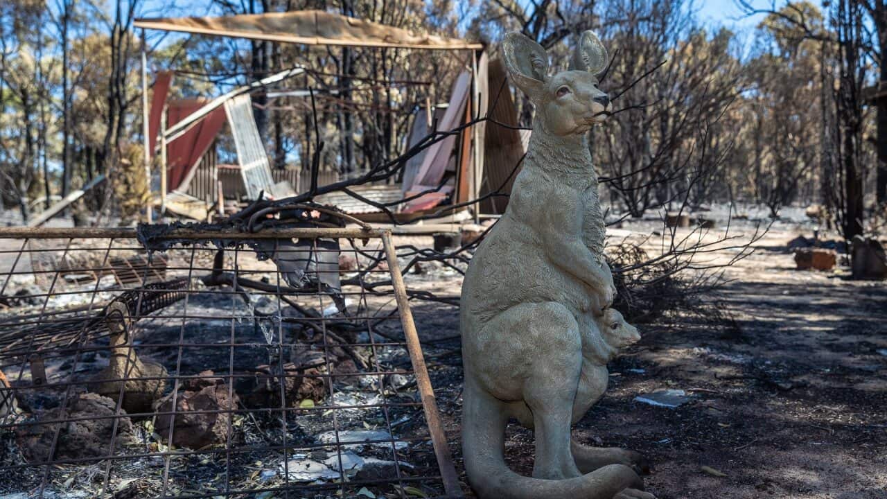 A statue of a kangaroo is seen outside a house destroyed by a bushfire on Dinsdale Road, Gidgegannup in Perth.