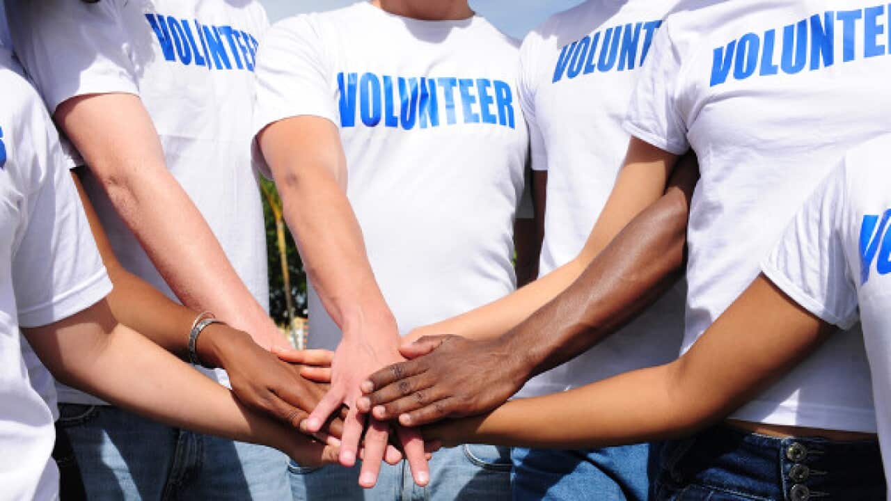 Volunteer