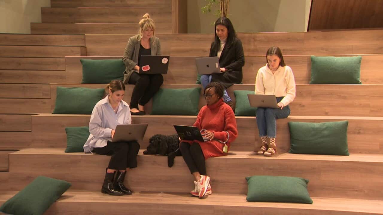 Women in coding (SBS).jpg