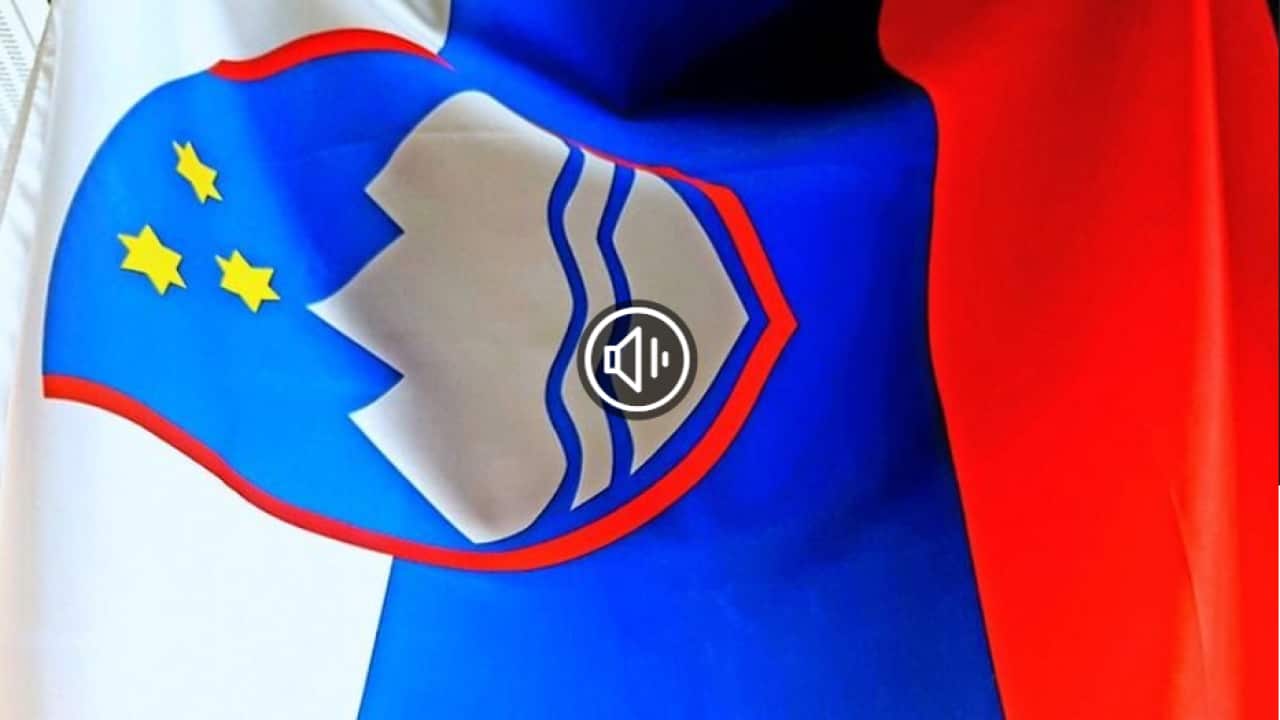 Slovenian flag