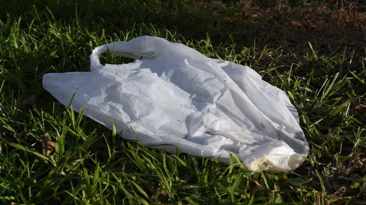 Plastic bag ban set for 2018 in Victoria SBS News