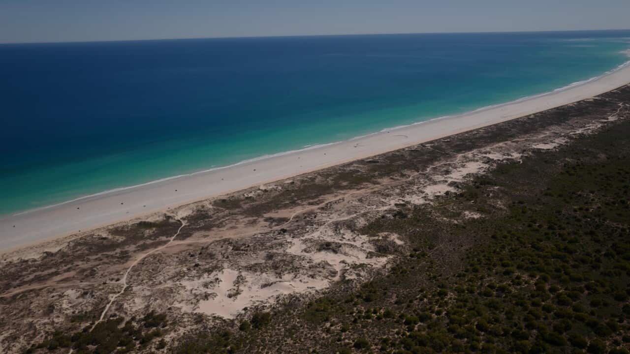 An aerial view of a beach