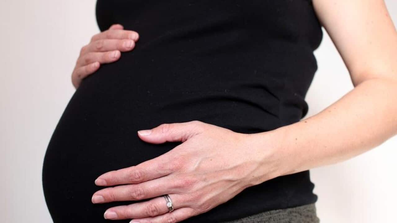 Pregnant woman's torso