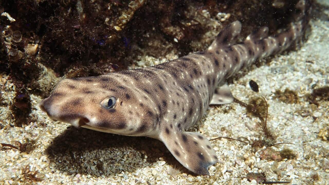 Image for read more article ''