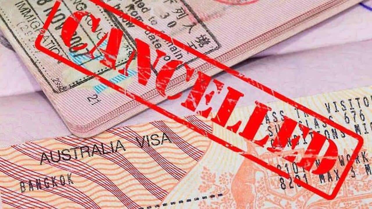 Over a thousand Indian students stripped of their visas in 2019