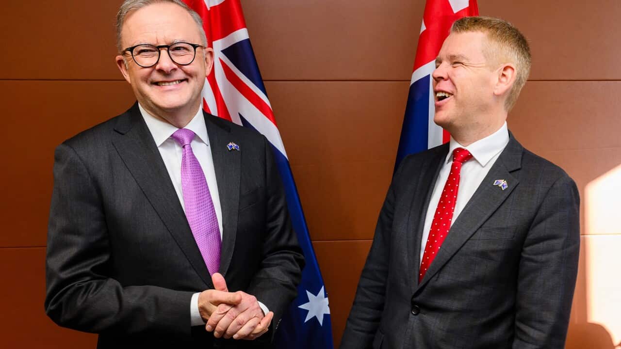 ANTHONY ALBANESE NZ VISIT
