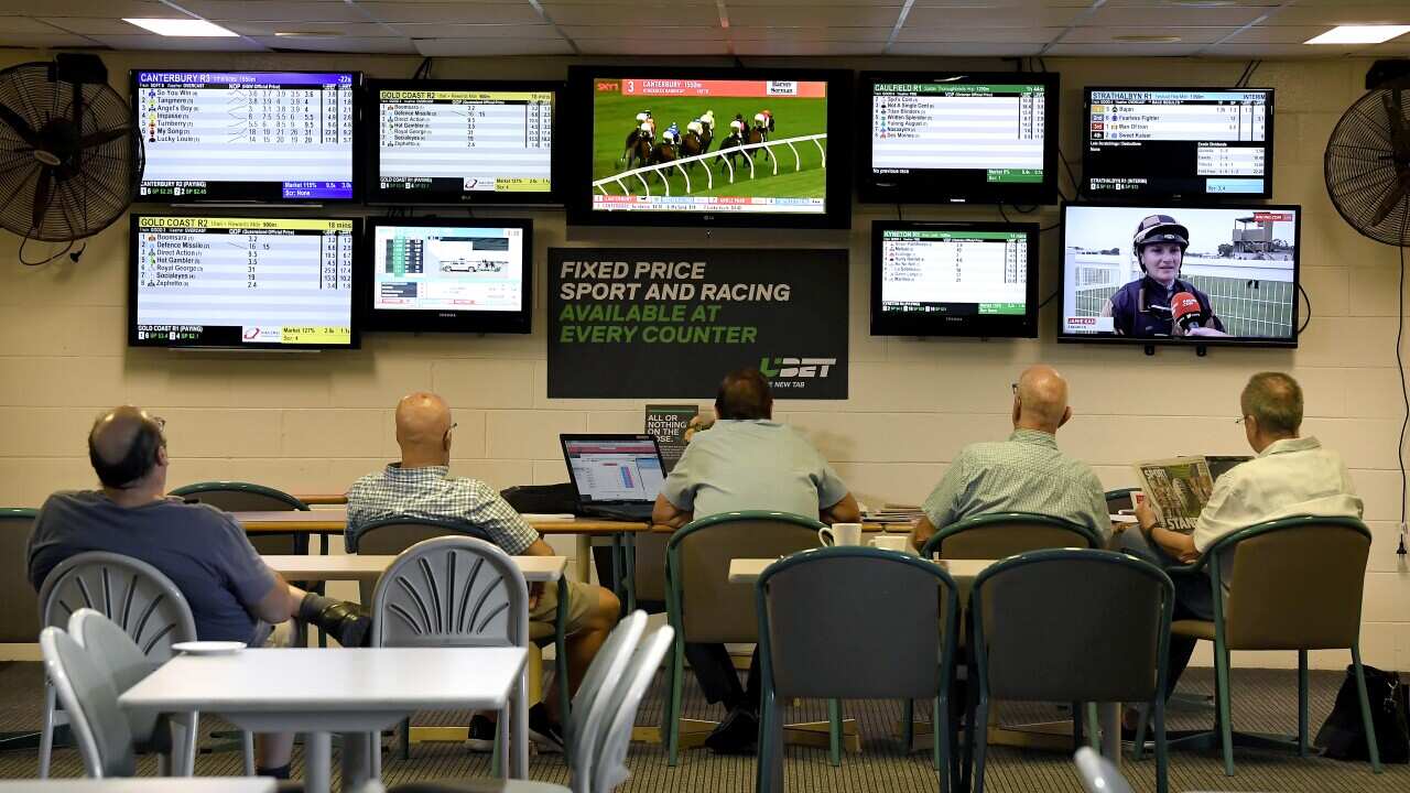 Punters are seen reading form guides in front of screens displaying racing odds